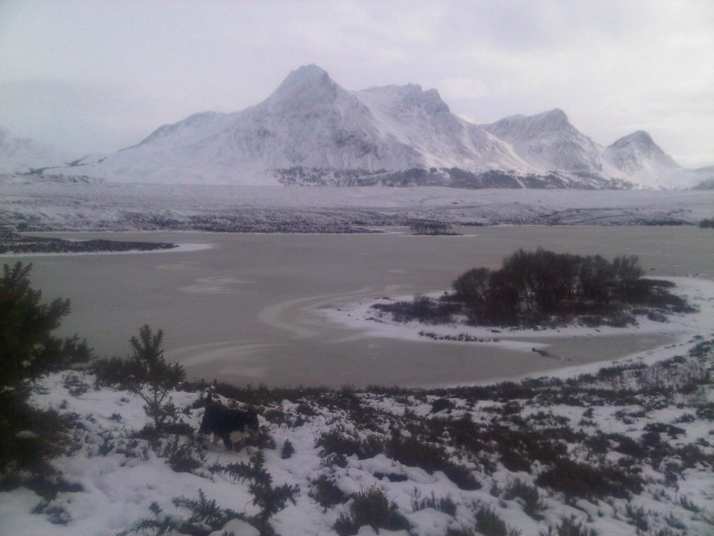 Ben Loyal Hotel Tongue Eksteriør billede